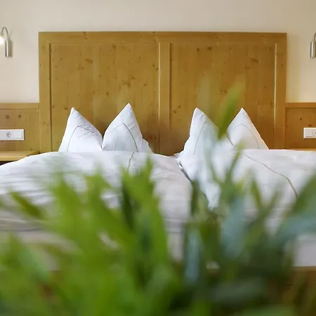 Zum Blauen Hecht Guest house